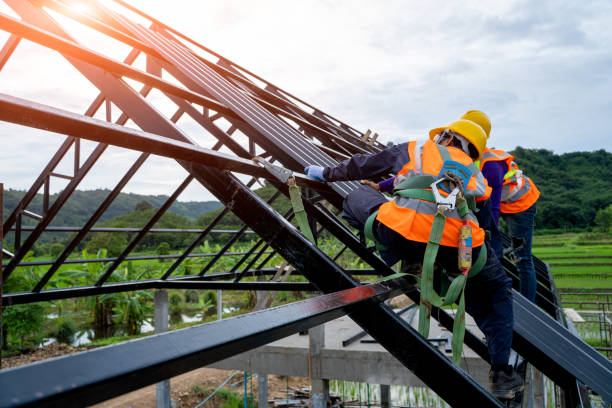 Best Roof Gutter Cleaning  in Fairway, KS